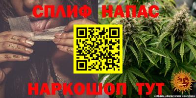 спиды Краснодар