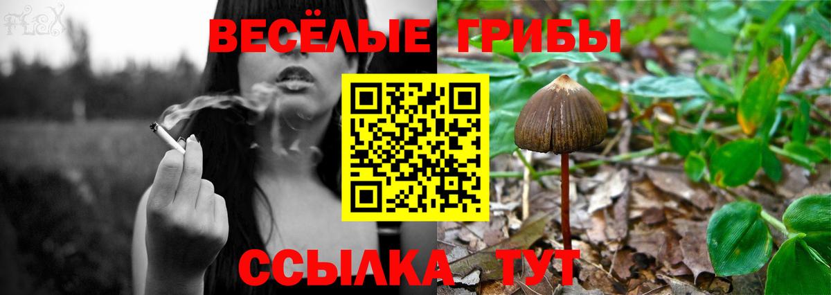 Галлюциногенные грибы MAGIC MUSHROOMS Зеленогорск